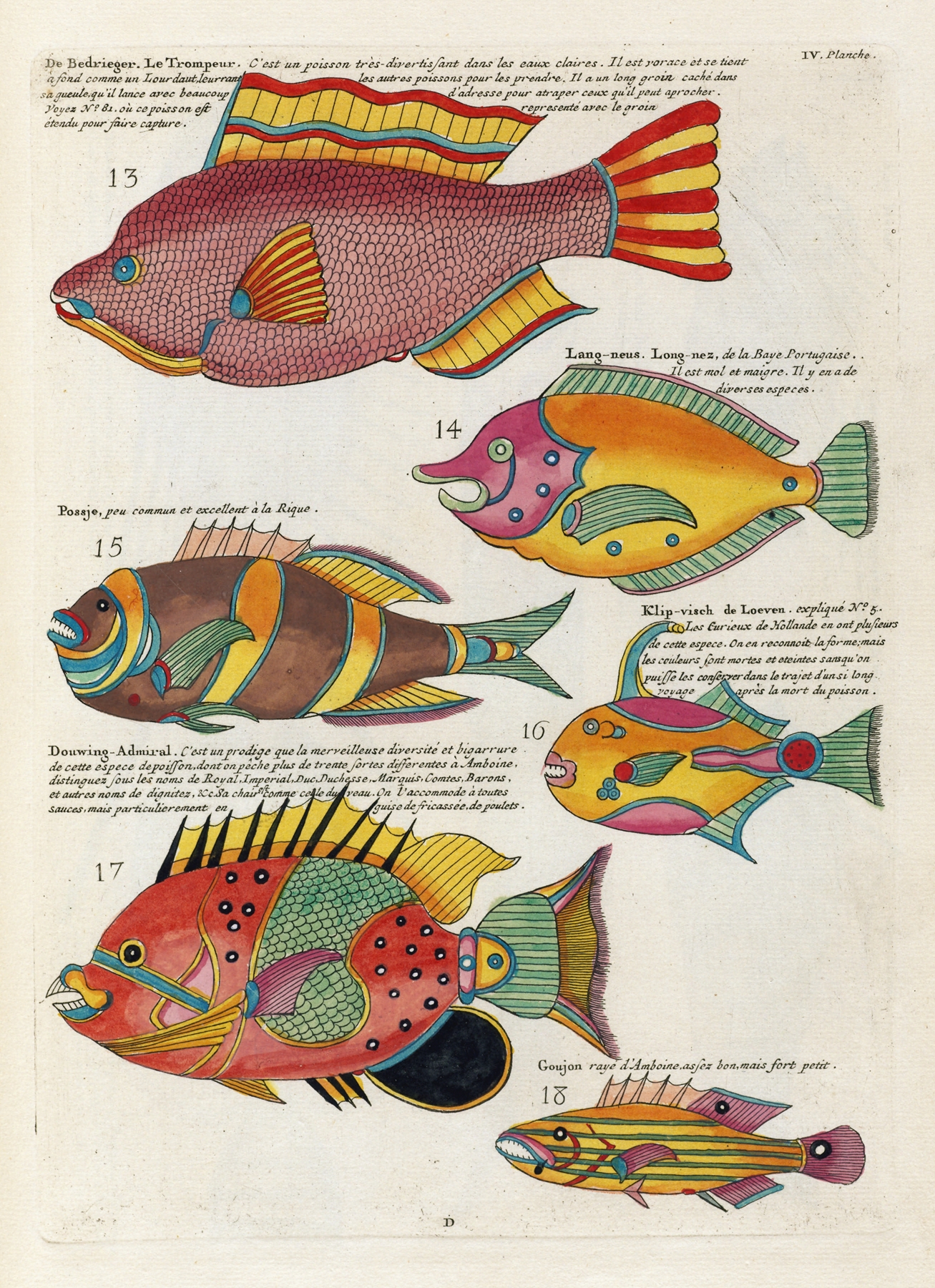 Poissons, ecrevisses et crabes, de diverses couleurs et figures extraordinaires.. Pl.047 by Louis Renard