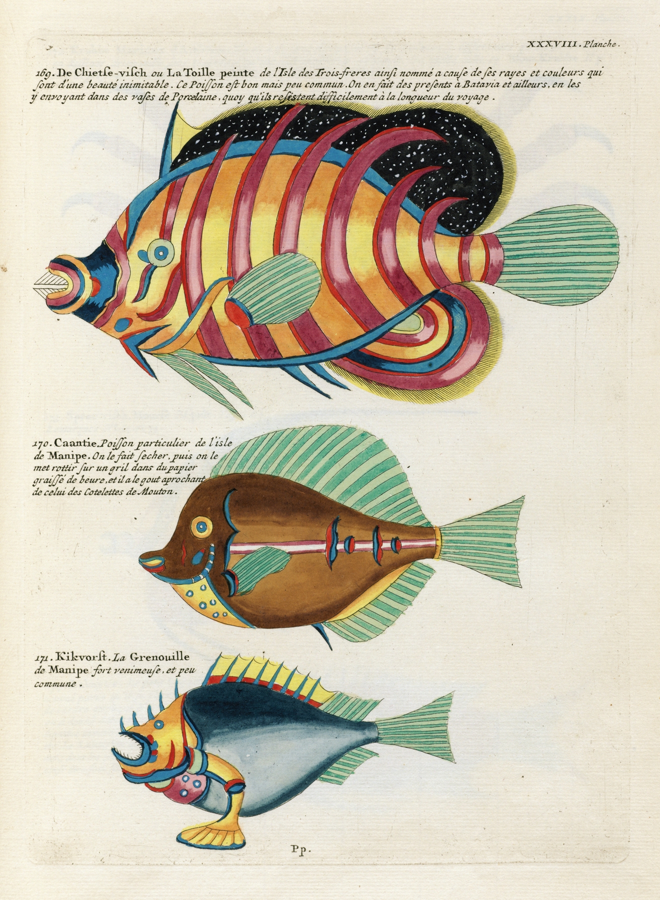 Poissons, ecrevisses et crabes, de diverses couleurs et figures extraordinaires.. Pl.081 by Louis Renard