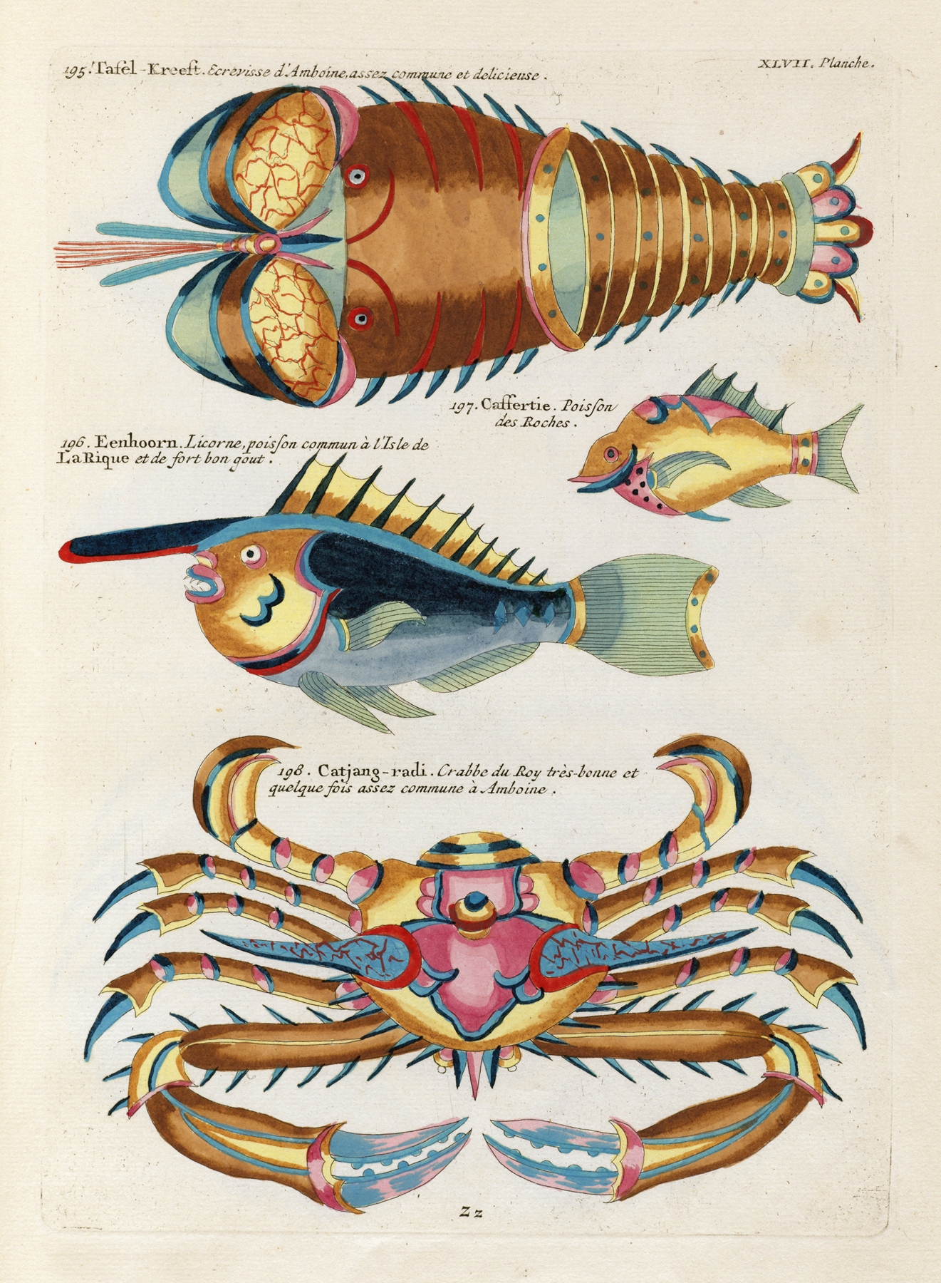 Poissons, ecrevisses et crabes, de diverses couleurs et figures extraordinaires.. Pl.090 by Louis Renard