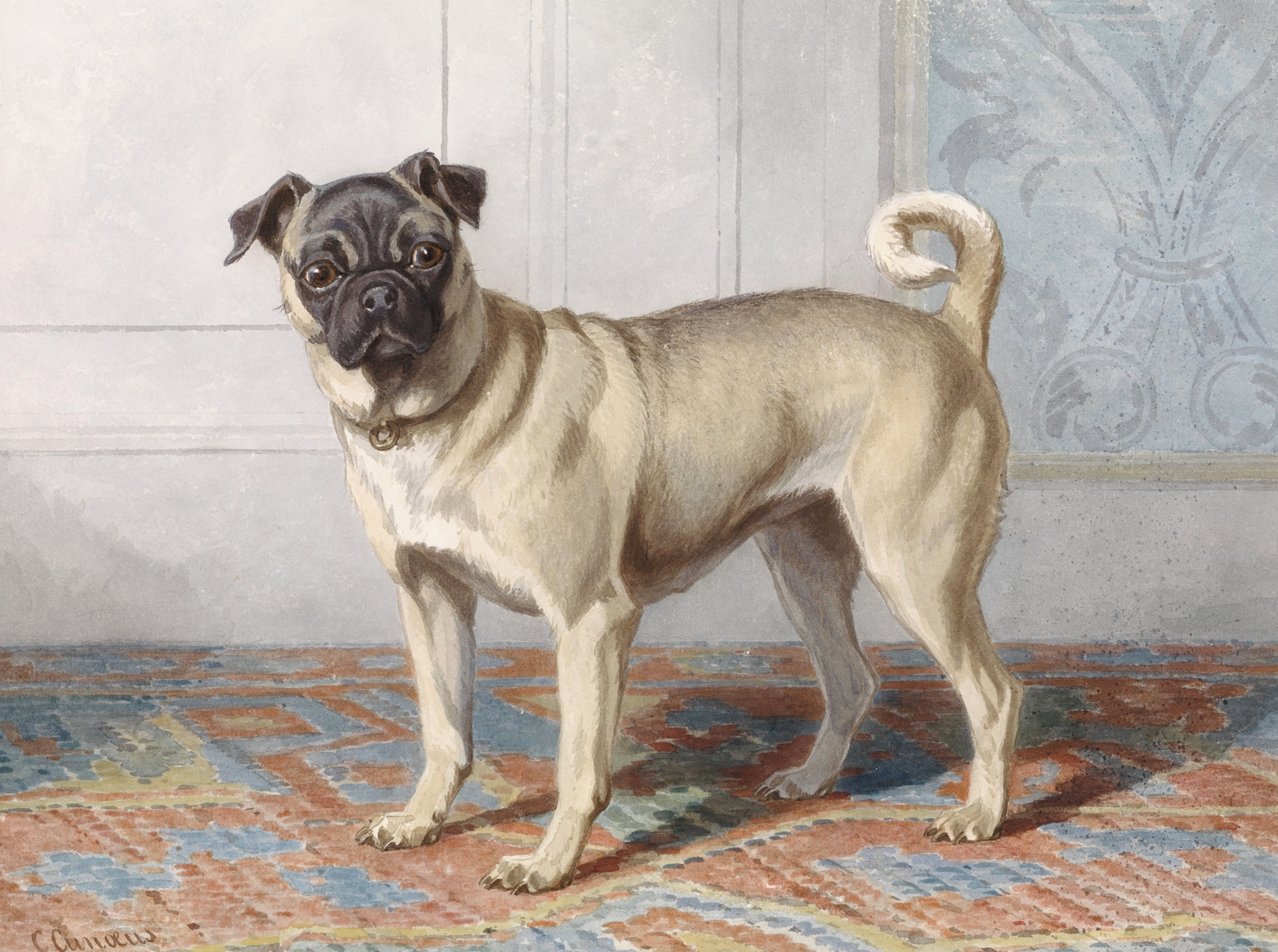 Portrait of Edwin vom Rath’s Pug by Conradijn Cunaeus