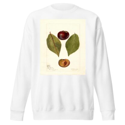 Prunus domestica: Pander by Deborah Griscom Passmore Sweatshirt