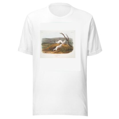 Putorius agilis, Little Nimble Weasel. Male & female. Natural size. Winter pelage. by John Woodhouse Audubon T-Shirt