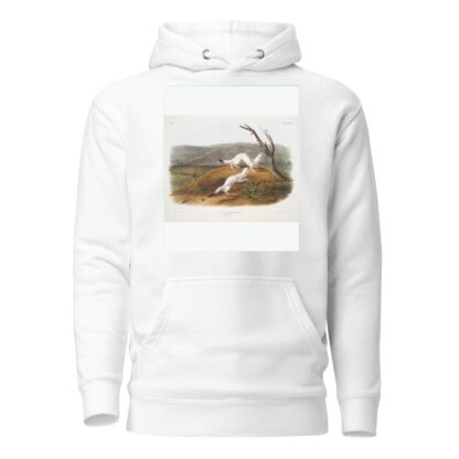 Putorius agilis, Little Nimble Weasel. Male & female. Natural size. Winter pelage. by John Woodhouse Audubon Hoodie
