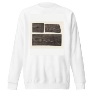 Recherches sur les poissons fossiles Pl.054 by Louis Agassiz Sweatshirt