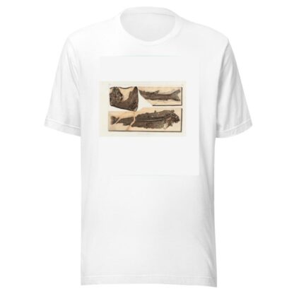 Recherches sur les poissons fossiles Pl.067 by Louis Agassiz T-Shirt