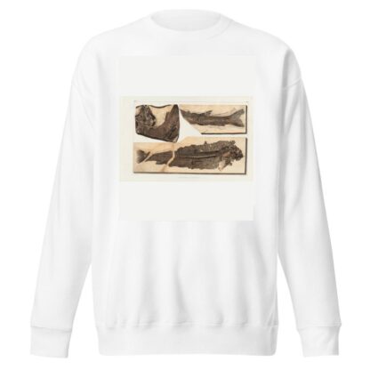 Recherches sur les poissons fossiles Pl.067 by Louis Agassiz Sweatshirt