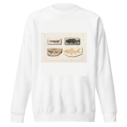 Recherches sur les poissons fossiles Pl.088 by Louis Agassiz Sweatshirt
