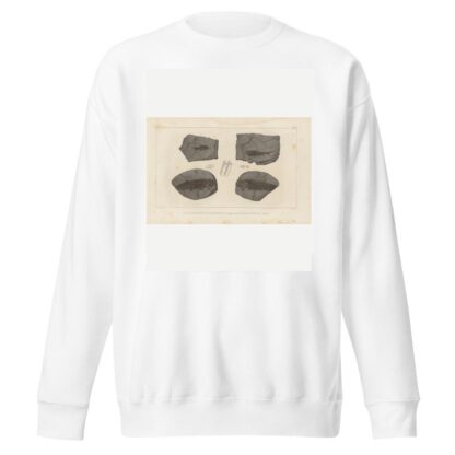 Recherches sur les poissons fossiles Pl.134 by Louis Agassiz Sweatshirt