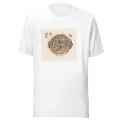 Recherches sur les poissons fossiles Pl.166 by Louis Agassiz T-Shirt