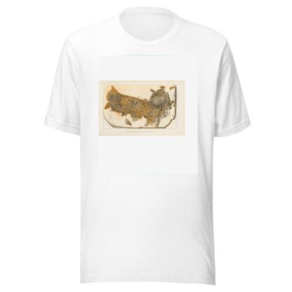 Recherches sur les poissons fossiles Pl.202 by Louis Agassiz T-Shirt