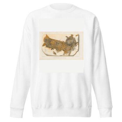 Recherches sur les poissons fossiles Pl.202 by Louis Agassiz Sweatshirt