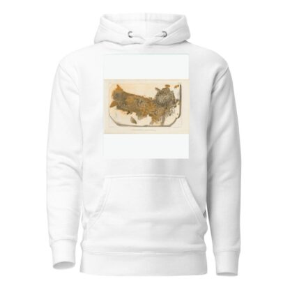 Recherches sur les poissons fossiles Pl.202 by Louis Agassiz Hoodie