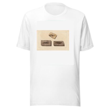 Recherches sur les poissons fossiles Pl.205 by Louis Agassiz T-Shirt
