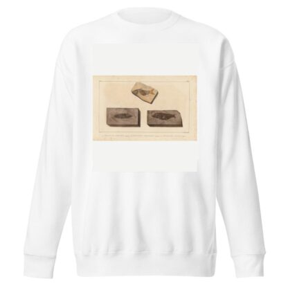 Recherches sur les poissons fossiles Pl.205 by Louis Agassiz Sweatshirt