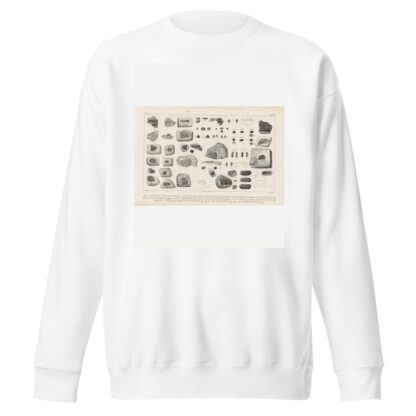 Recherches sur les poissons fossiles Pl.249 by Louis Agassiz Sweatshirt