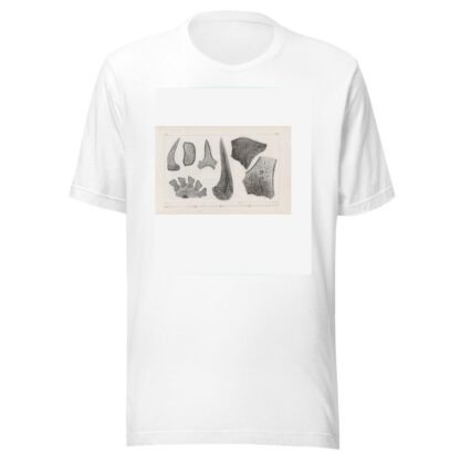 Recherches sur les poissons fossiles Pl.269 by Louis Agassiz T-Shirt