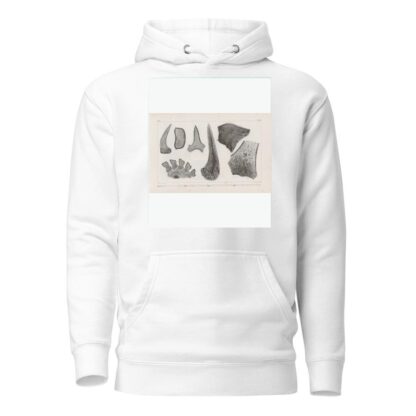Recherches sur les poissons fossiles Pl.269 by Louis Agassiz Hoodie