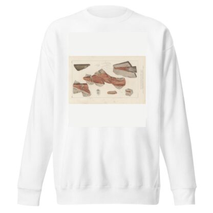 Recherches sur les poissons fossiles Pl.276 by Louis Agassiz Sweatshirt