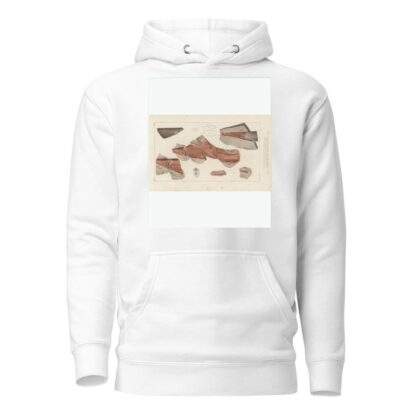 Recherches sur les poissons fossiles Pl.276 by Louis Agassiz Hoodie