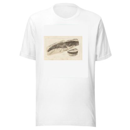 Recherches sur les poissons fossiles Pl.277 by Louis Agassiz T-Shirt