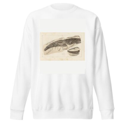 Recherches sur les poissons fossiles Pl.277 by Louis Agassiz Sweatshirt