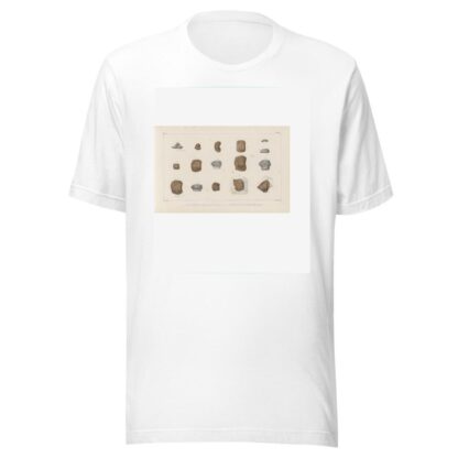 Recherches sur les poissons fossiles Pl.304 by Louis Agassiz T-Shirt