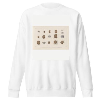 Recherches sur les poissons fossiles Pl.304 by Louis Agassiz Sweatshirt