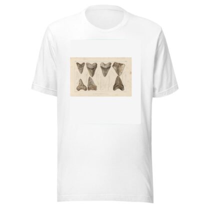Recherches sur les poissons fossiles Pl.311 by Louis Agassiz T-Shirt