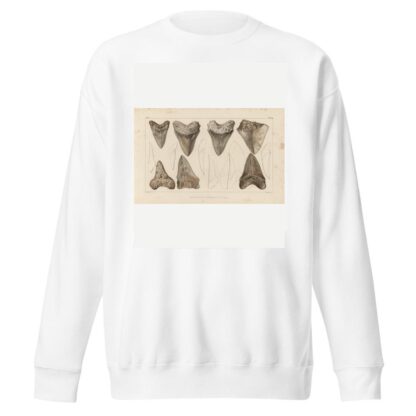 Recherches sur les poissons fossiles Pl.311 by Louis Agassiz Sweatshirt