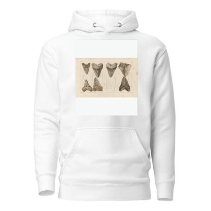 Recherches sur les poissons fossiles Pl.311 by Louis Agassiz Hoodie