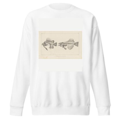 Recherches sur les poissons fossiles Pl.343 by Louis Agassiz Sweatshirt