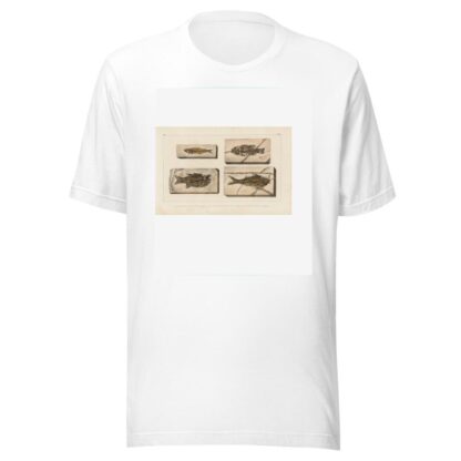 Recherches sur les poissons fossiles Pl.360 by Louis Agassiz T-Shirt