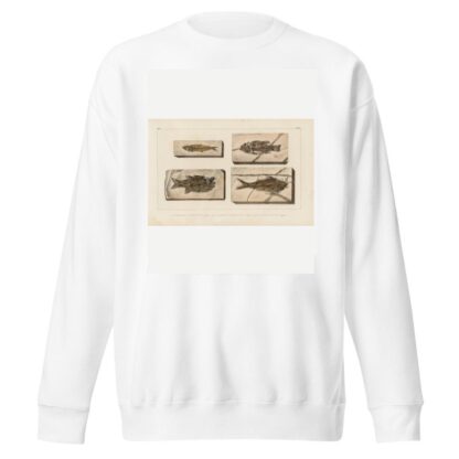 Recherches sur les poissons fossiles Pl.360 by Louis Agassiz Sweatshirt