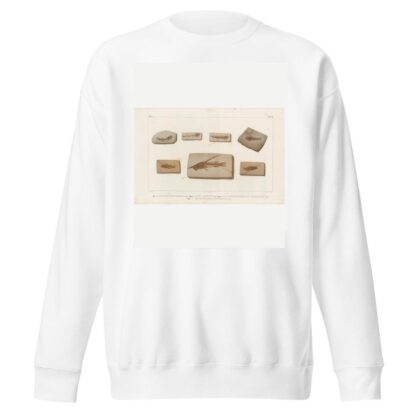 Recherches sur les poissons fossiles Pl.382 by Louis Agassiz Sweatshirt