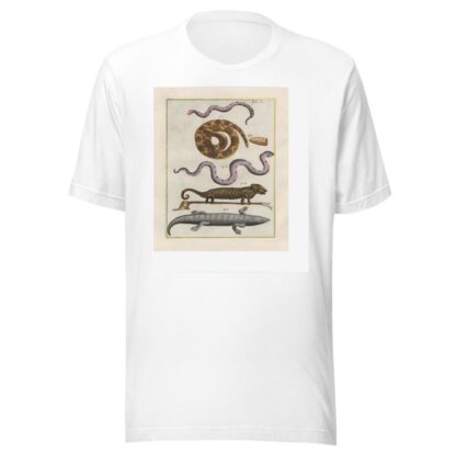 Rerum naturalium historia nempe quadrupedum Pl.09 by Filippo Buonanni T-Shirt