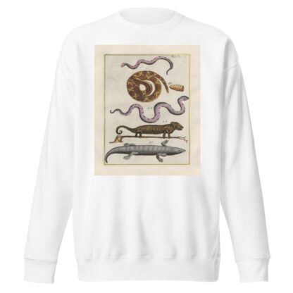 Rerum naturalium historia nempe quadrupedum Pl.09 by Filippo Buonanni Sweatshirt