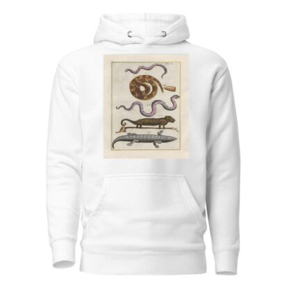 Rerum naturalium historia nempe quadrupedum Pl.09 by Filippo Buonanni Hoodie