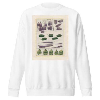 Rerum naturalium historia nempe quadrupedum Pl.19 by Filippo Buonanni Sweatshirt