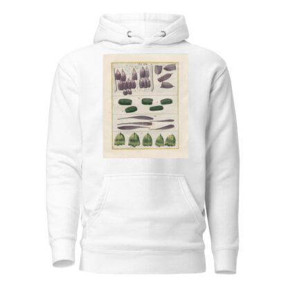 Rerum naturalium historia nempe quadrupedum Pl.19 by Filippo Buonanni Hoodie