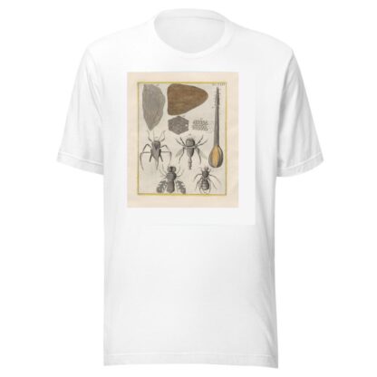 Rerum naturalium historia nempe quadrupedum Pl.24 by Filippo Buonanni T-Shirt