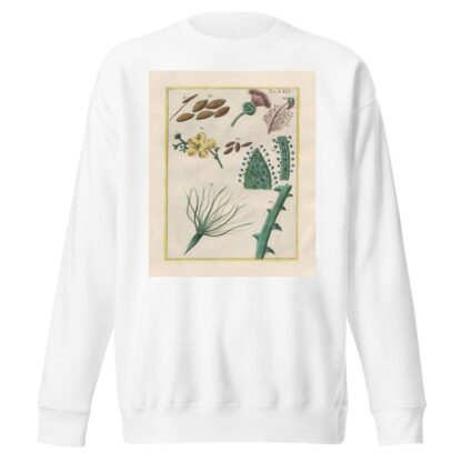 Rerum naturalium historia nempe quadrupedum Pl.29 by Filippo Buonanni Sweatshirt