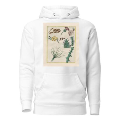Rerum naturalium historia nempe quadrupedum Pl.29 by Filippo Buonanni Hoodie