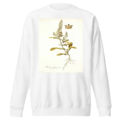Reseda mediterranea by Nikolaus Joseph Freiherr von Jacquin Sweatshirt