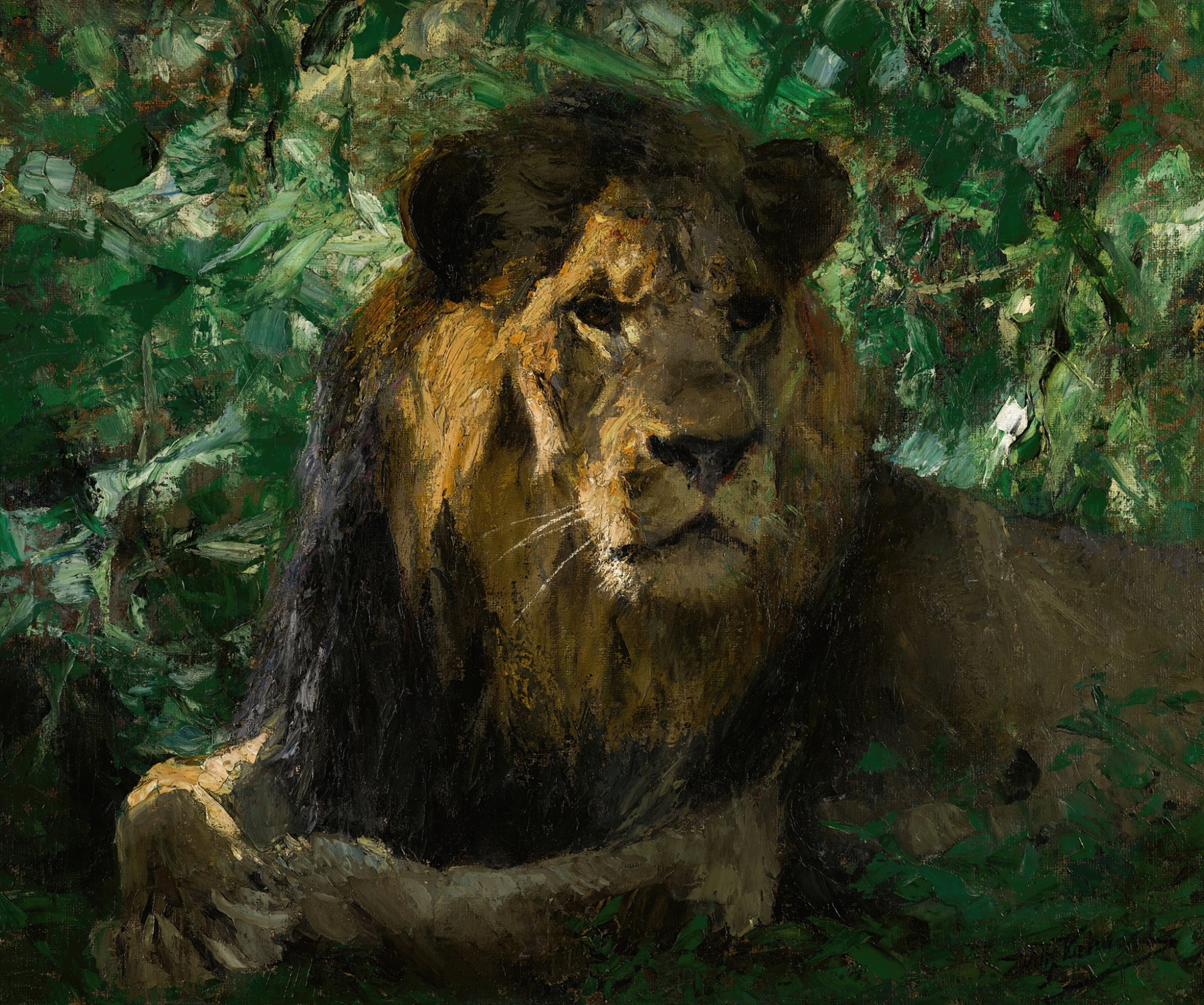 Resting Lion by Wilhelm Kuhnert