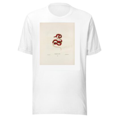 Rhinostoma coccinea. by John Edwards Holbrook T-Shirt