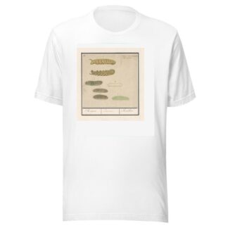 Rupsen Rispen Erucae. Chenilles by Anselmus Boëtius de Boodt T-Shirt
