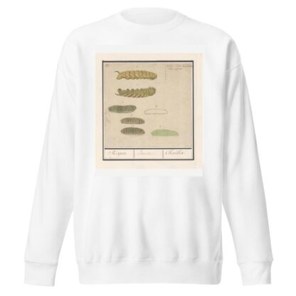 Rupsen Rispen Erucae. Chenilles by Anselmus Boëtius de Boodt Sweatshirt