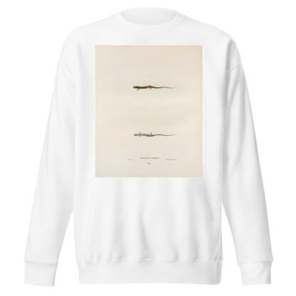 Salamandra quadridigitata by John Edwards Holbrook Sweatshirt