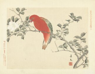 Sasanqua camellia and chattering lory parrot by Matsumura Keibun