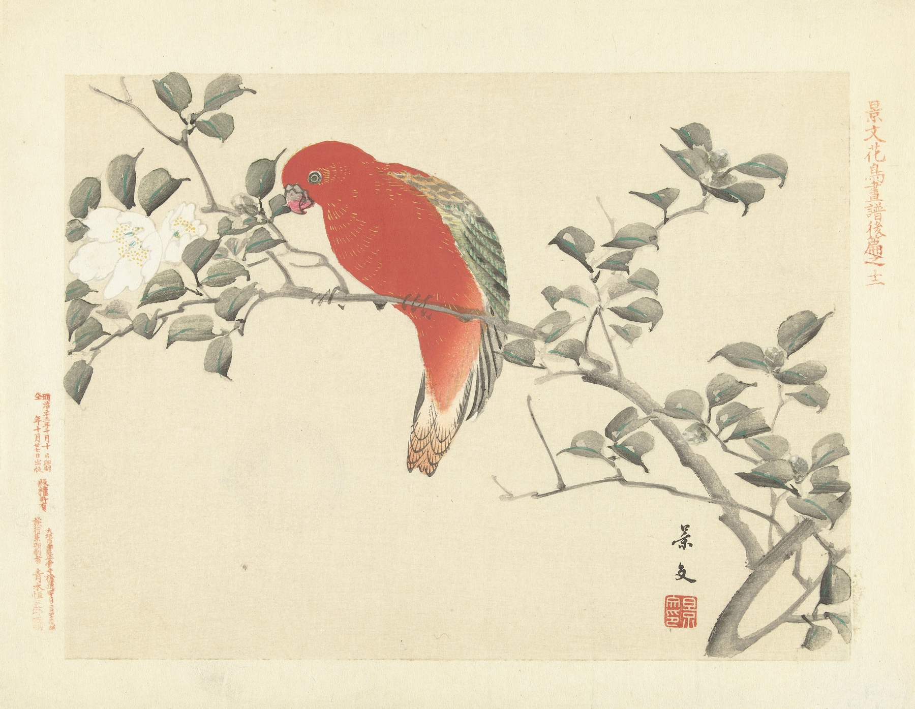 Sasanqua camellia and chattering lory parrot by Matsumura Keibun